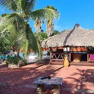 Woodstock Palmresort Curacao Frühstückspension Willemstad